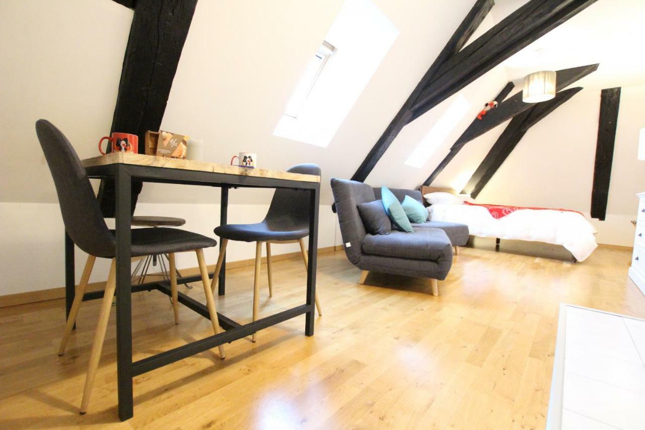 Colmar Historic Center - Cosy Studio Petit Cathedrale 1 - Bookingalsace Buitenkant foto